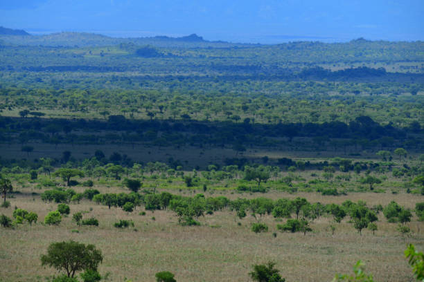 Kidepo Valley Wilderness